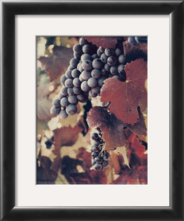Autumn Print by Wynja Pricing Limited Edition Print image