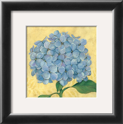 Happiness, Hydrangea by Stephanie Marrott Pricing Limited Edition Print image