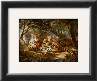 Leopard With Cub by Silvia Duran Pricing Limited Edition Print image