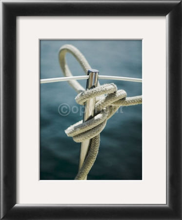 Tying The Knot by Jeff Kauck Pricing Limited Edition Print image
