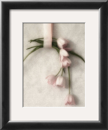 Hanging Tulips by Judy Mandolf Pricing Limited Edition Print image
