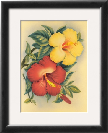 Hawaiian Hibiscus by Eve Hawaii Pricing Limited Edition Print image