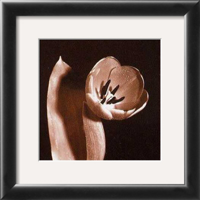 Open Tulip by Klaus Mischke Pricing Limited Edition Print image