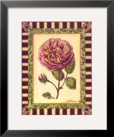 Renaissance Rose Ii by Jennifer Goldberger Pricing Limited Edition Print image