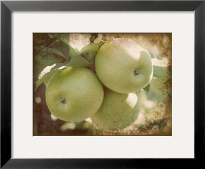 Vintage Apples Iii by Jason Johnson Pricing Limited Edition Print image