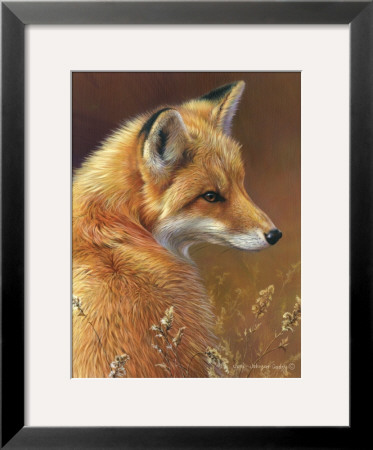 Curious: Red Fox by Joni Johnson-Godsy Pricing Limited Edition Print image