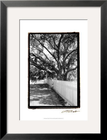 Summer Shade Ii by Laura Denardo Pricing Limited Edition Print image