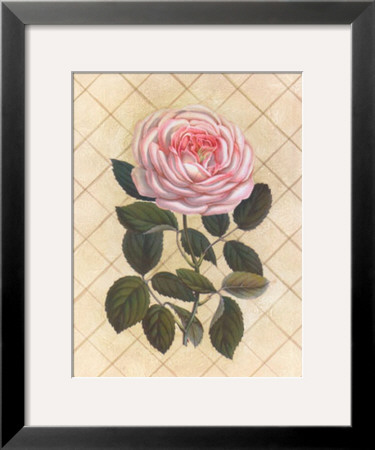 Trellis Rose I by Susan Davies Pricing Limited Edition Print image