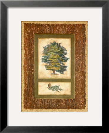 Cedar by Susan Davies Pricing Limited Edition Print image