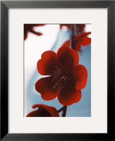 Japanese Quince Ii by Jack Hollingsworth Pricing Limited Edition Print image