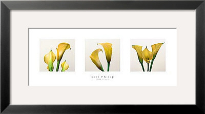 Three Lilies Ii by Bill Philip Pricing Limited Edition Print image