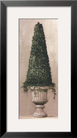 Cone, Small Green-Leaf Topiary by Welby Pricing Limited Edition Print image