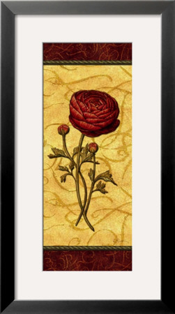 Red Passion Renonculus by Charlene Audrey Pricing Limited Edition Print image