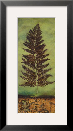 Fern For Thought I by Lisa Audit Pricing Limited Edition Print image