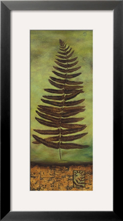 Fern For Thought Ii by Lisa Audit Pricing Limited Edition Print image