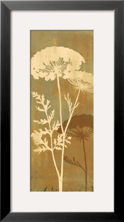 Queen Anne's Lace I by Daphne Brissonnet Pricing Limited Edition Print image