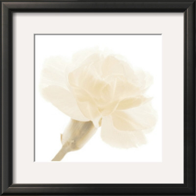 Carnation Ii by George Fossey Pricing Limited Edition Print image