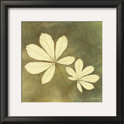 Horse Chestnut Leaf by Alexandra Bex Pricing Limited Edition Print image