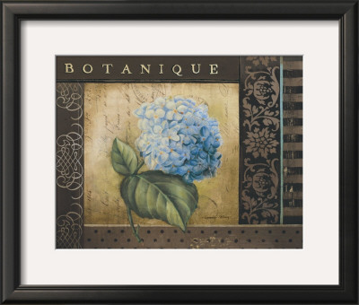 Botanique I by Kimberly Poloson Pricing Limited Edition Print image