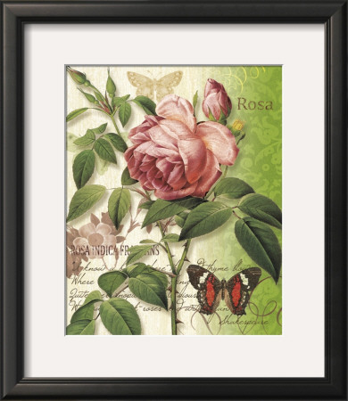 Rose Splendor Ii by Ching Han Pricing Limited Edition Print image
