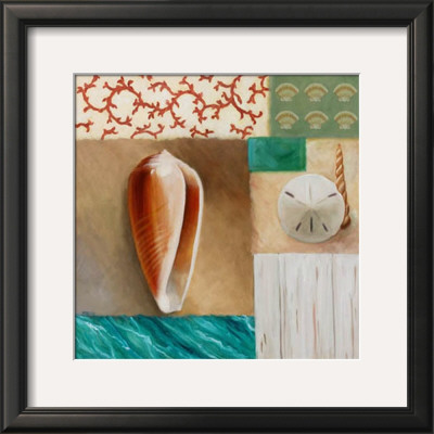 Shell Collage I by David Marrocco Pricing Limited Edition Print image