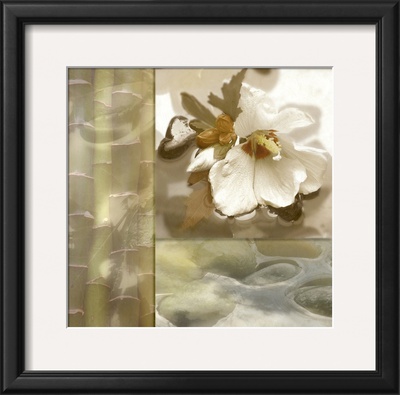 Zen Elements Iii by Donna Geissler Pricing Limited Edition Print image