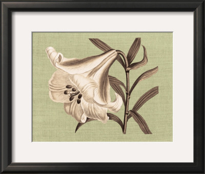 Regencé Lily Iii by Sarah E. Chilton Pricing Limited Edition Print image