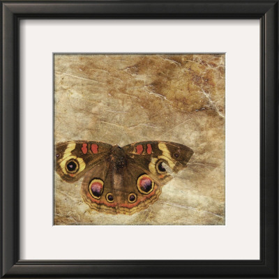 Moth by Susan Friedman Pricing Limited Edition Print image