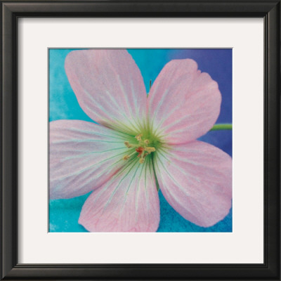 My Little Flower by Ella Doran Pricing Limited Edition Print image