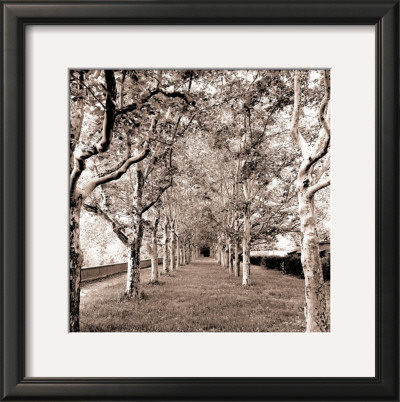 Tunnel Of Trees by Harold Silverman Pricing Limited Edition Print image