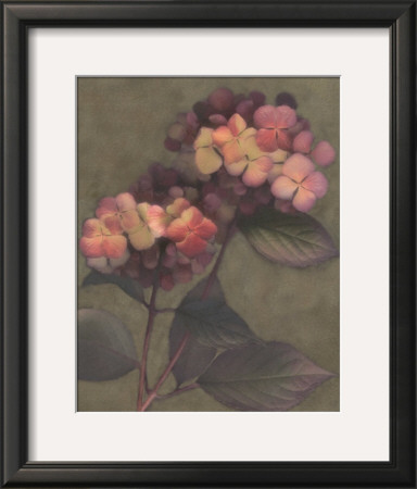 Autumn Kisses I by S. G. Rose Pricing Limited Edition Print image