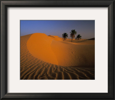 Algerie by Philippe Bourseiller Pricing Limited Edition Print image