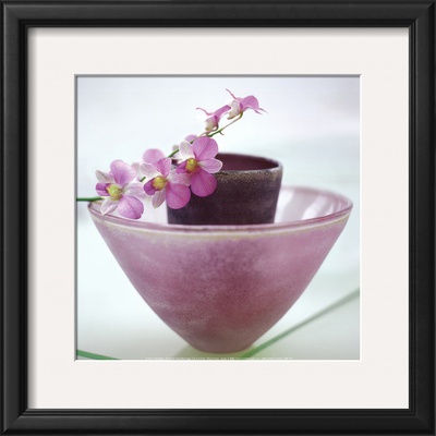 Orchids by H. Orth Pricing Limited Edition Print image