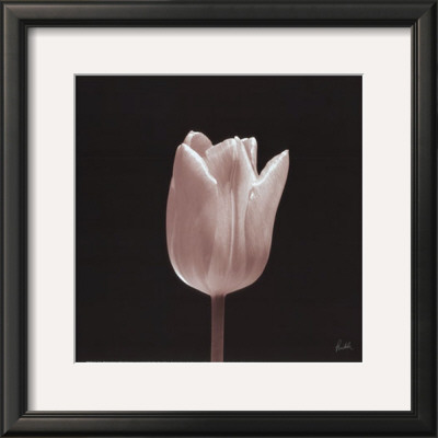 Tulip by Mitch Ostapchuk Pricing Limited Edition Print image