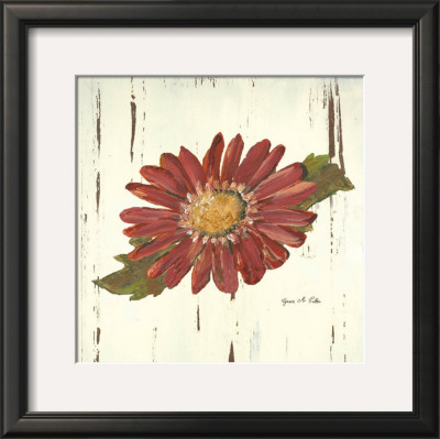 Red Daisy Ii by Grace Pullen Pricing Limited Edition Print image