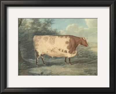 Durham Ox by John Boultbee Pricing Limited Edition Print image