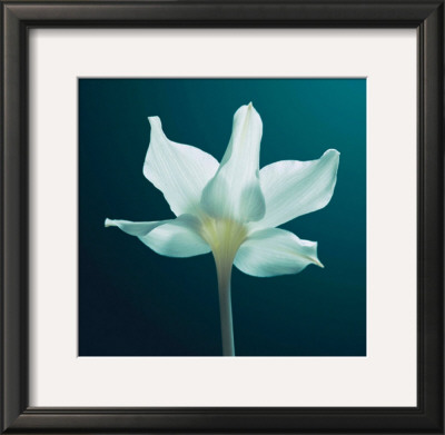 Light And Shadow by Ian Winstanley Pricing Limited Edition Print image