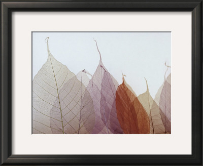 Cabernet by Durwood Zedd Pricing Limited Edition Print image