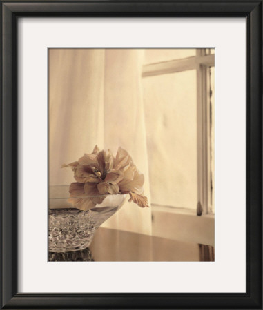 Window Light I by Kathryn Boggs Pricing Limited Edition Print image
