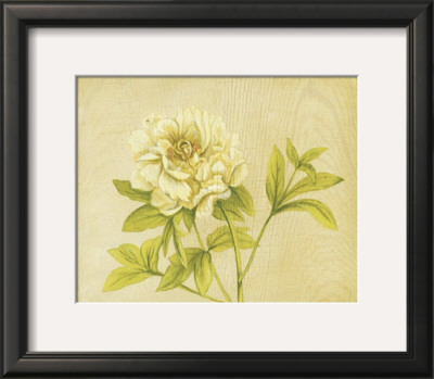 Yellow Flower by David Col Pricing Limited Edition Print image