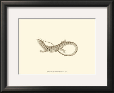 Sepia Lizard I by J. H. Richard Pricing Limited Edition Print image