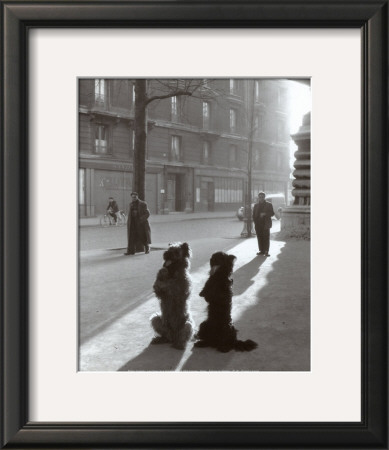 Les Chiens De La Chapelle by Robert Doisneau Pricing Limited Edition Print image