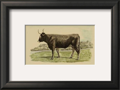 Antique Cow Iii by Julian Bien Pricing Limited Edition Print image