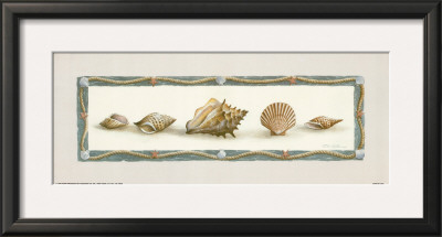 Five Shells by T. C. Chiu Pricing Limited Edition Print image
