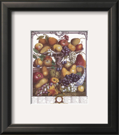 Twelve Months Of Fruits, 1732, November by Robert Furber Pricing Limited Edition Print image