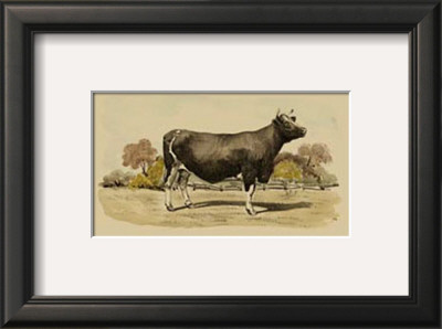 Antique Cow Vi by Julian Bien Pricing Limited Edition Print image