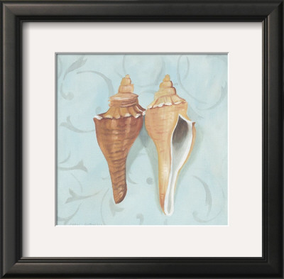 Melongina Shells by Carol Robinson Pricing Limited Edition Print image