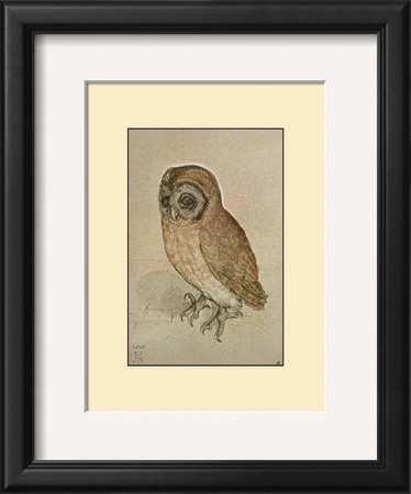 Little Owl by Albrecht Dürer Pricing Limited Edition Print image