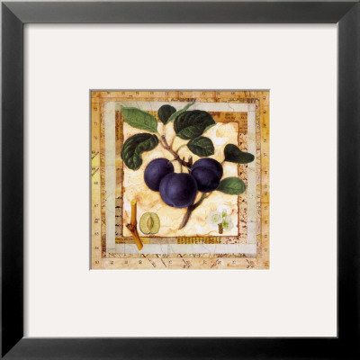 Plum Branch by G.P. Mepas Pricing Limited Edition Print image