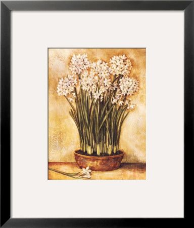 Potted Narcissus by Tina Chaden Pricing Limited Edition Print image